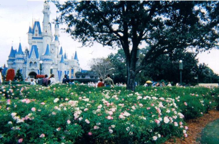 Rose Garden & Castle