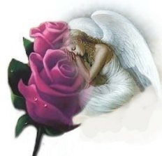roseangel_sm
