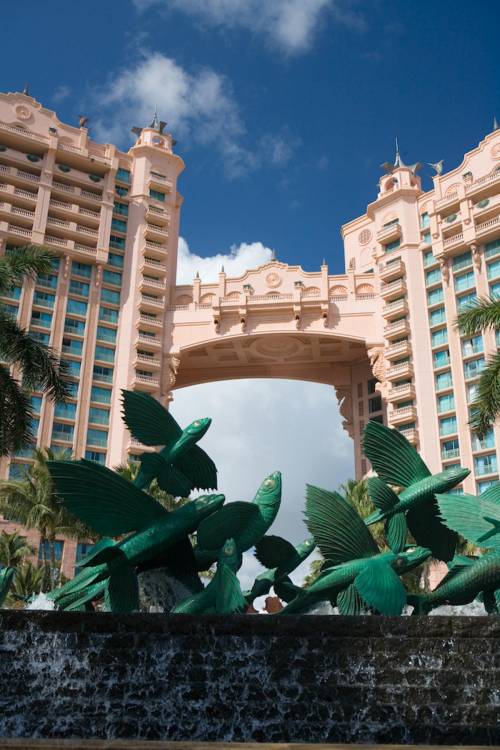 Royal Towers and Flying Fish - Atlantis