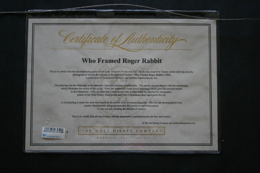 RR-DisneyCOA2