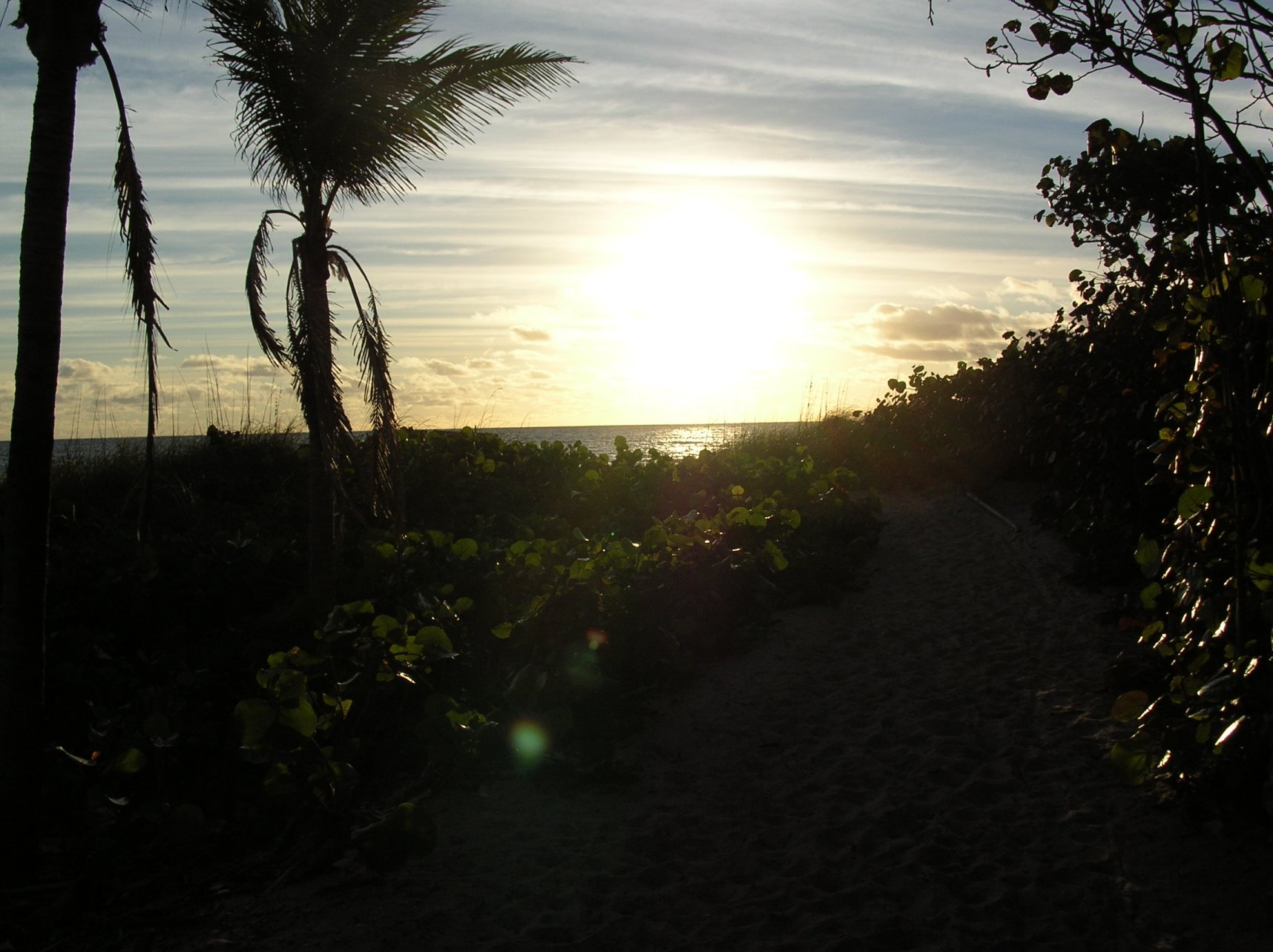 Run_for_Miracles_5k_Beach_shot_010608