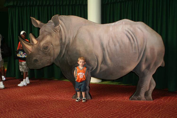 Ryan and the Rhino