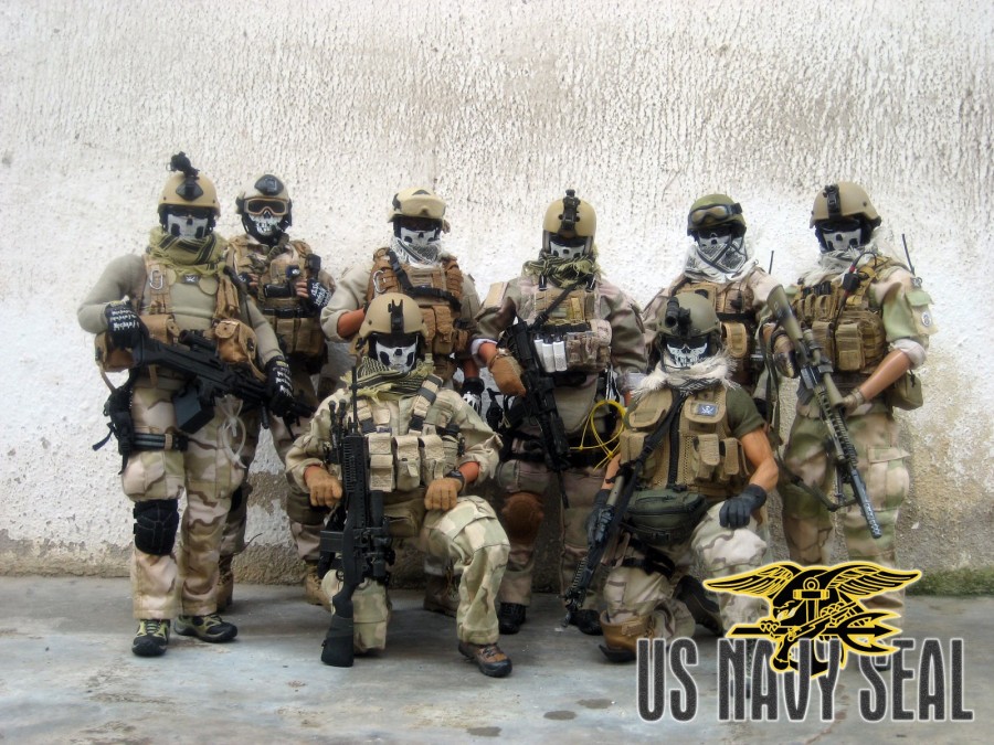 S.E.A.L. Team Six