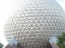 s33010436_35492293_2989_1_