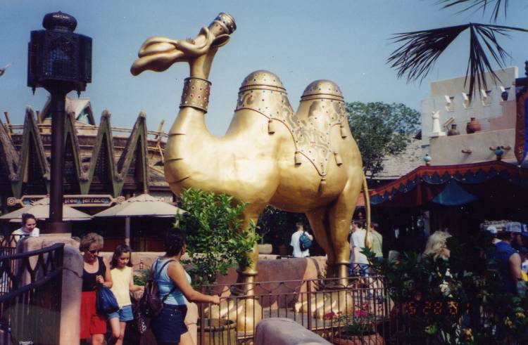 s_Spitting_CamelP