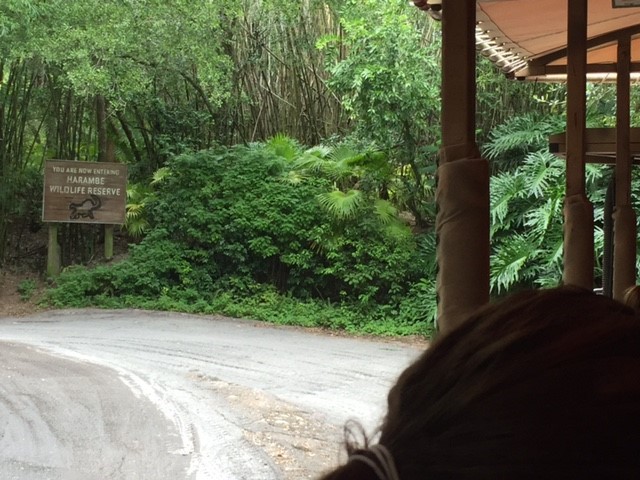 Safari 1 - AK 09-05-2017