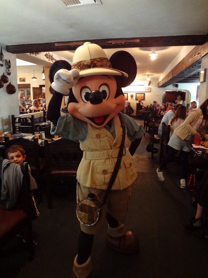 Safari Mickey