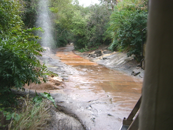 Safari ride - geyser and fake ruts in "mud"
