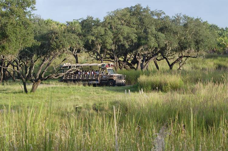 Safari ride