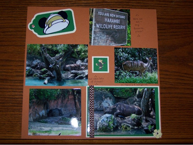 Safari_1