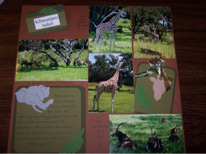 Safari_Amy