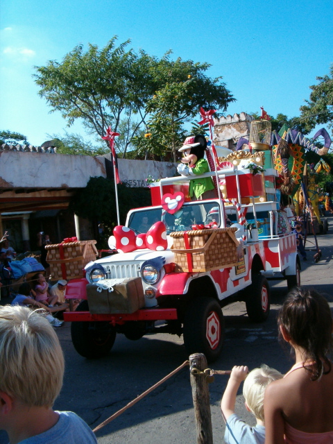 Safari_Minnie