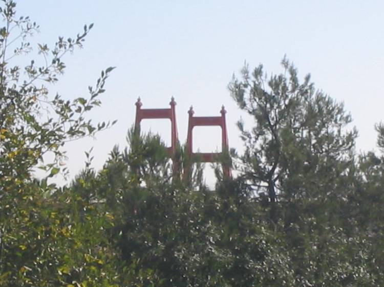 San_Diego-Disneyland_001_V_