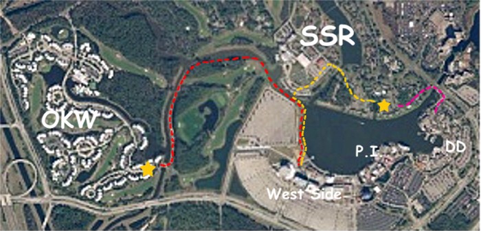 Satellite with OKW & SSR paths to DD