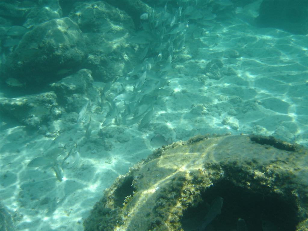 School's out - Castaway Cay