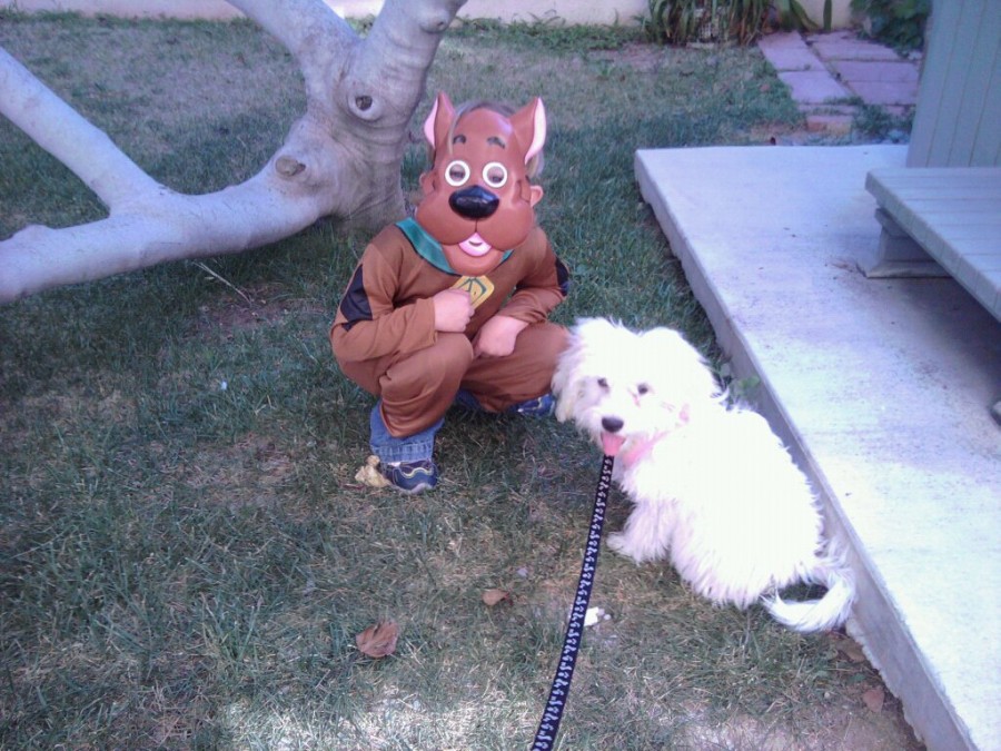 Scooby costume