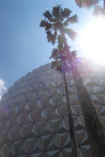 SE with palms.