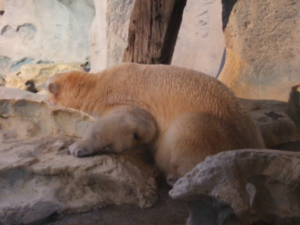 Sea World