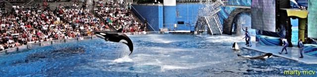 sea_world_10
