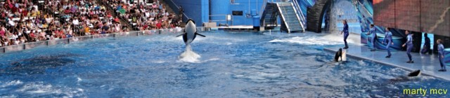 sea_world_2