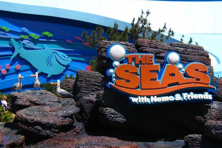Seagulls at Nemo Ride