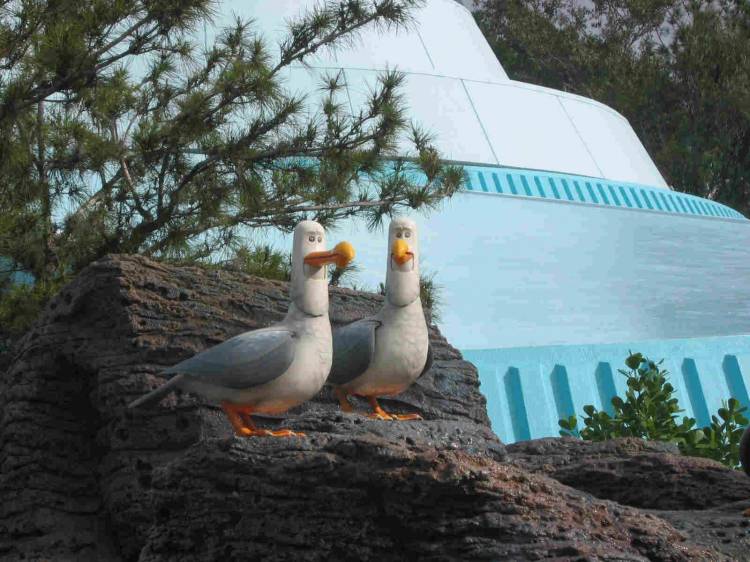 Seagulls_1