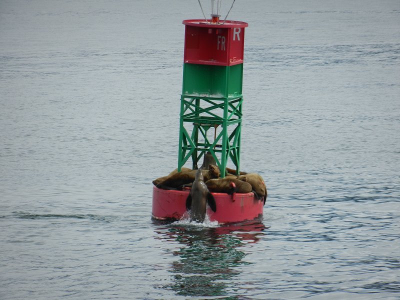 Seals