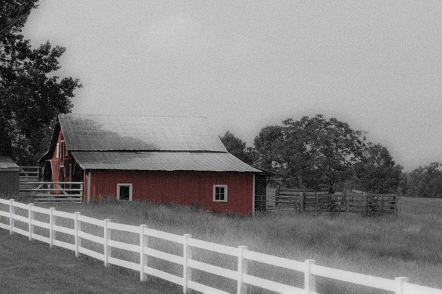 SelectiveBarn