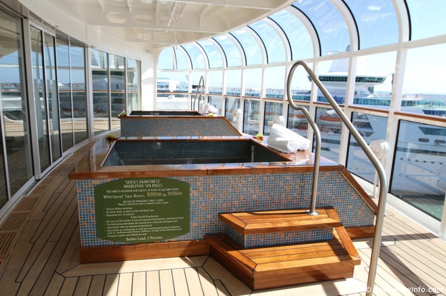 disney fantasy cruise info