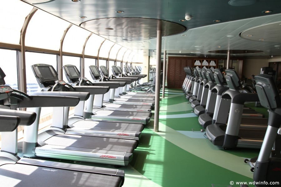 disney fantasy cruise info