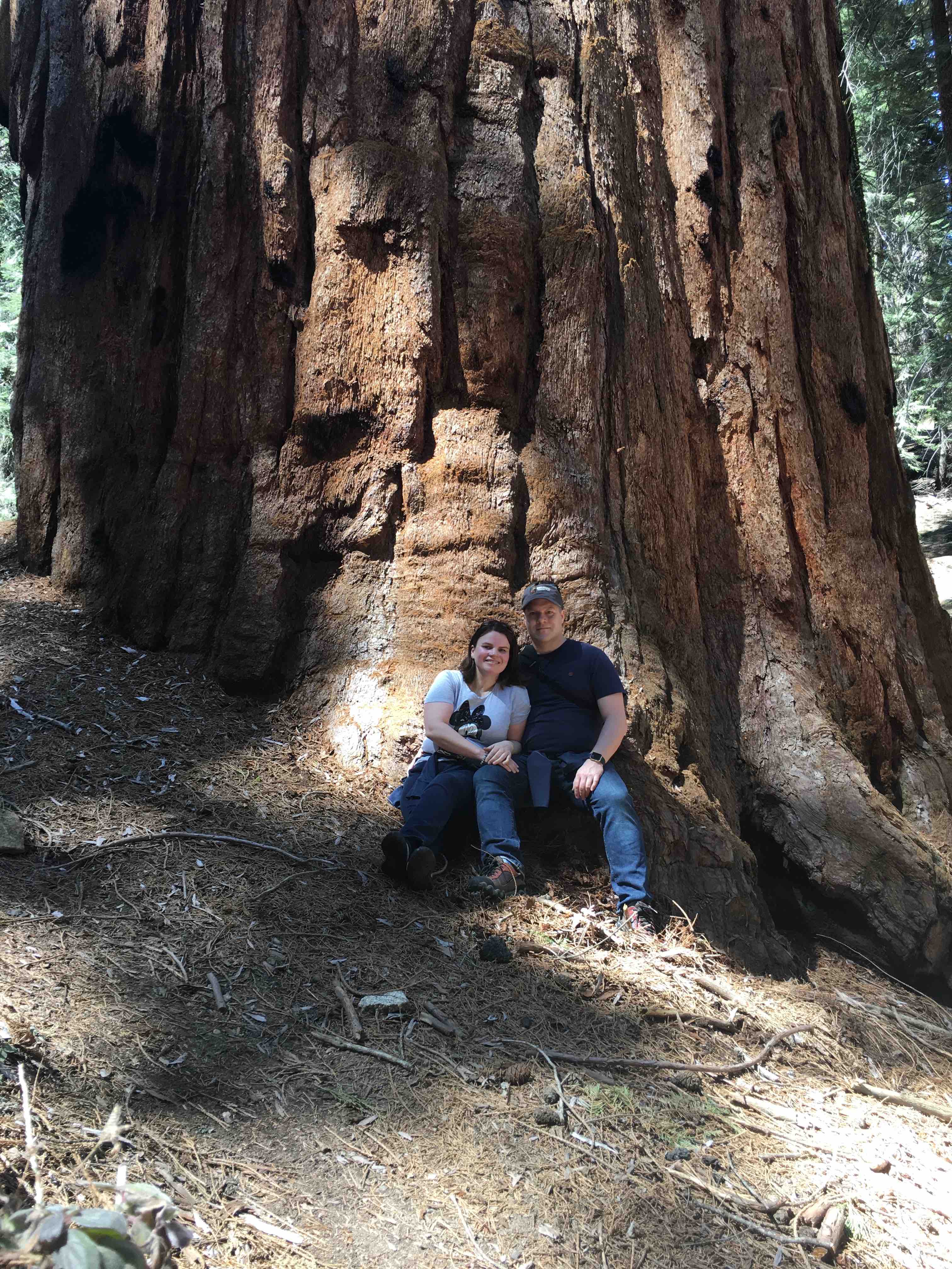 Sequoia NP (3s)
