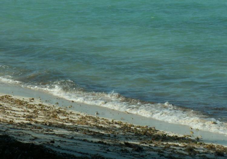 Serenity Beach 1/9/2009 b