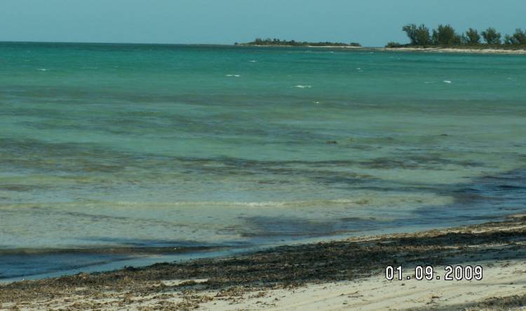 Serenity Beach 1/9/2009 c