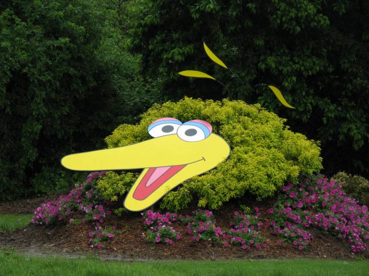 Sesame Place - Landscaping (Big Bird Shrubbery)
