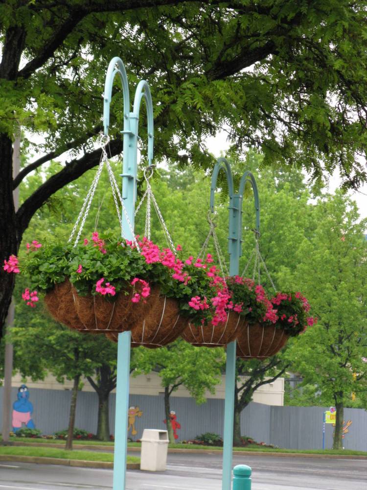 Sesame Place - Landscaping (Hanging Plants)