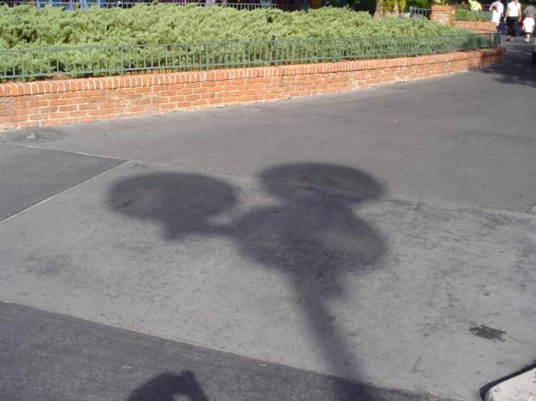 Shadow
