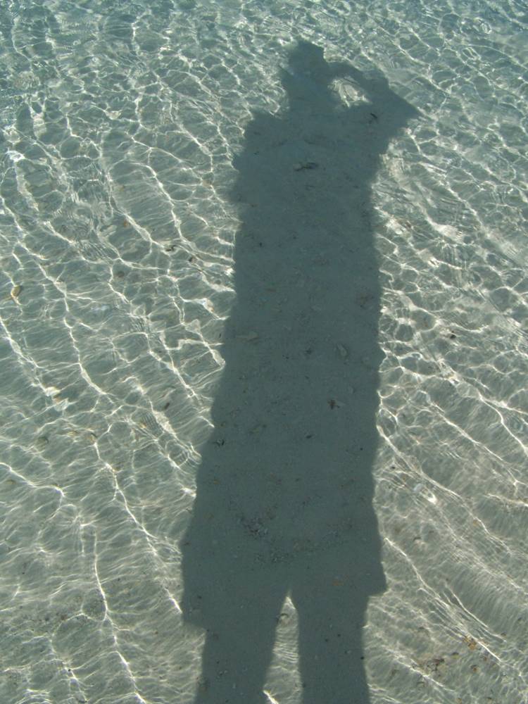 Shadows