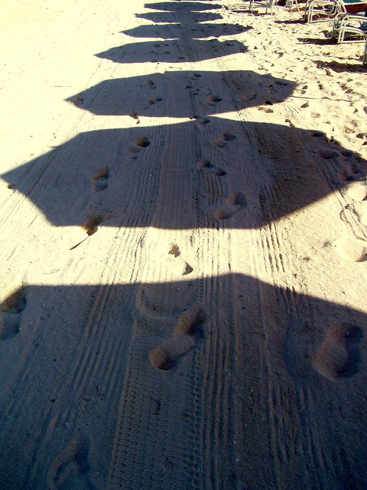 Shadows