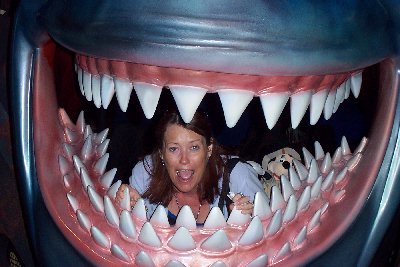 Shark bait