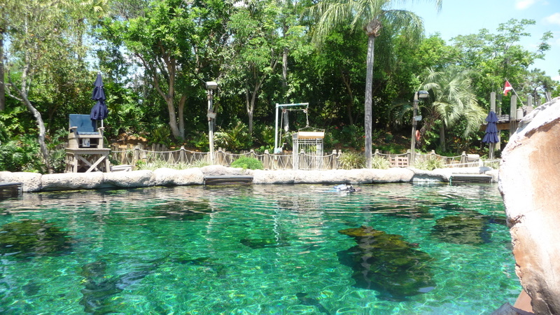 Shark Pool Typhoon Lagoon