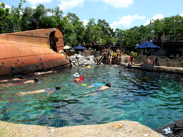 Shark Reef Midpoint & Exit
