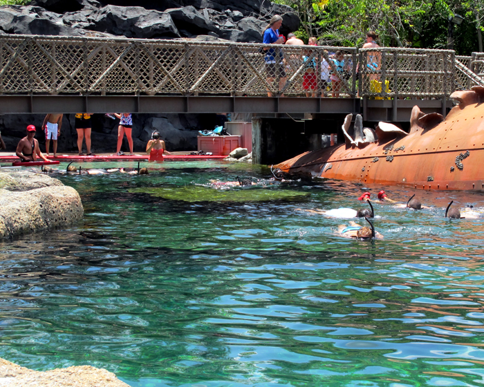 Shark Reef Starting Area