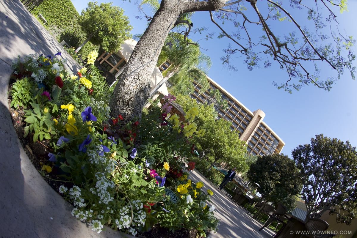 Sheraton-Anaheim-Hotel-44