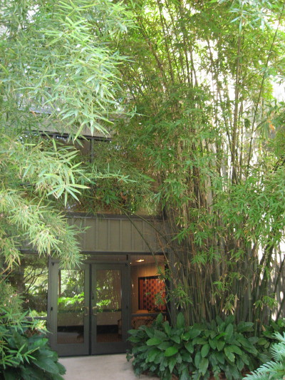 Side door of AKL