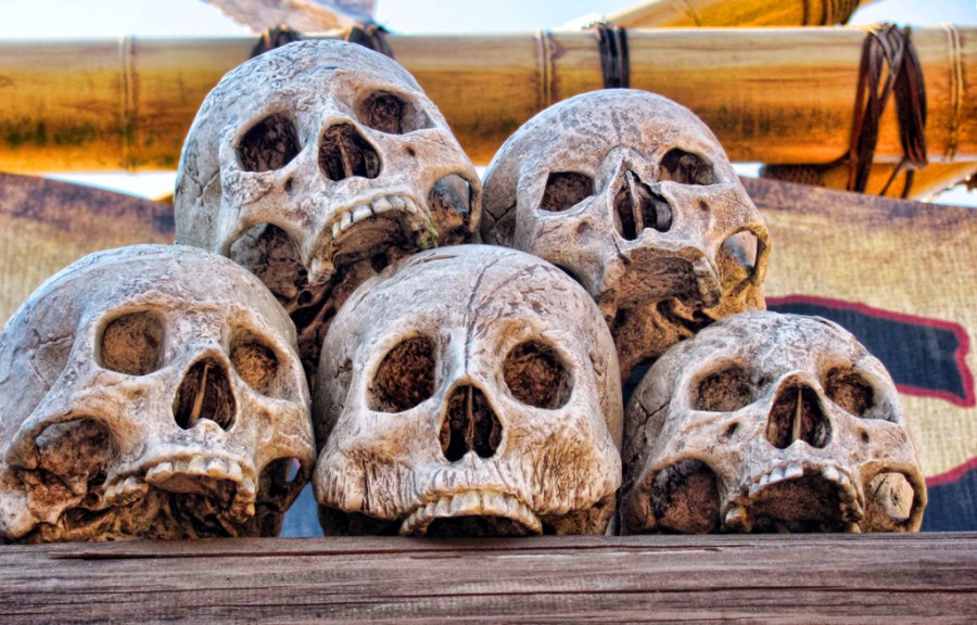 Skulls