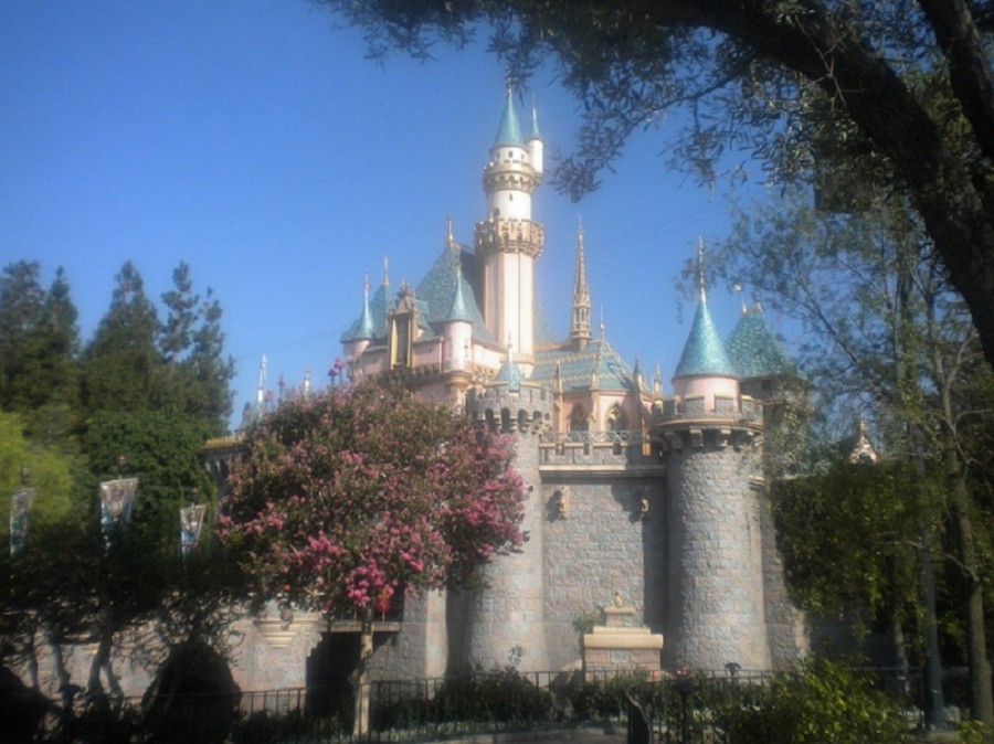 Sleeping Beauty's Castle