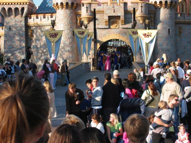 Sleeping Beauty's Royal Celebration