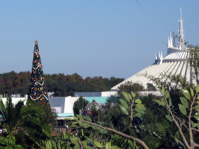 SM and XMAS tree from SFTH