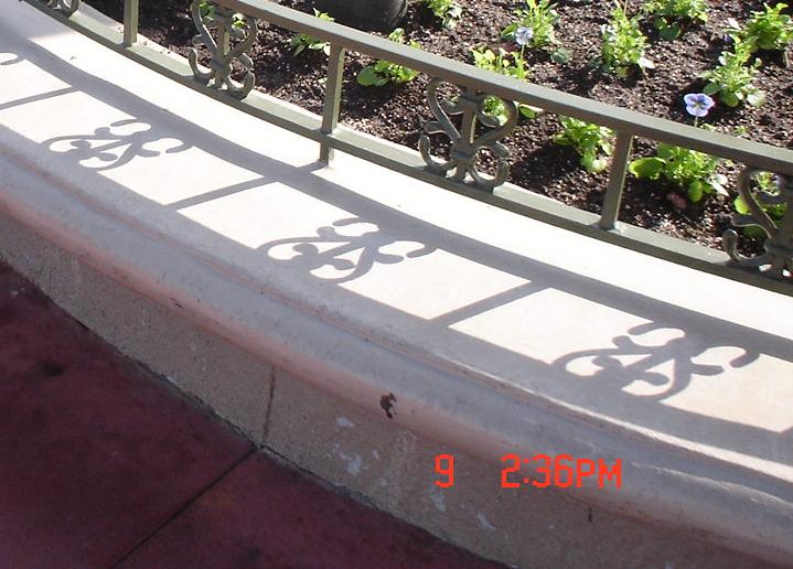 smhiddenmickey