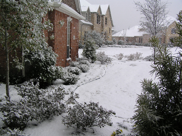 Snow- F